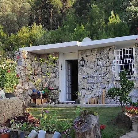 Stone House Casa vacanze